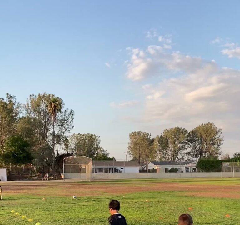 Soccer Field image 2