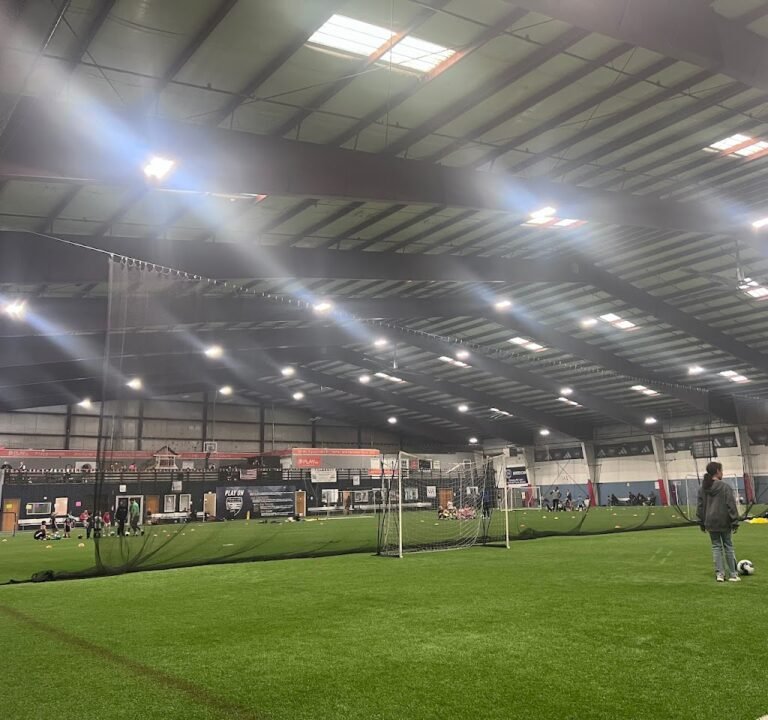 Soccer Field image 2