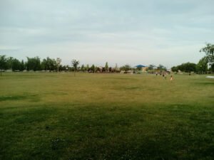 Soccer Field image 1