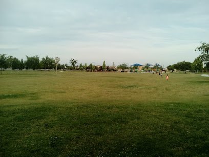 Soccer Field image 1