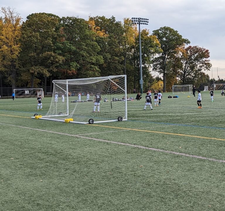Soccer Field image 2