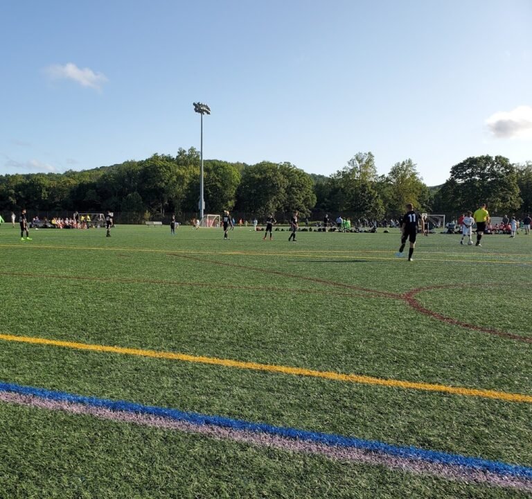 Soccer Field image 3