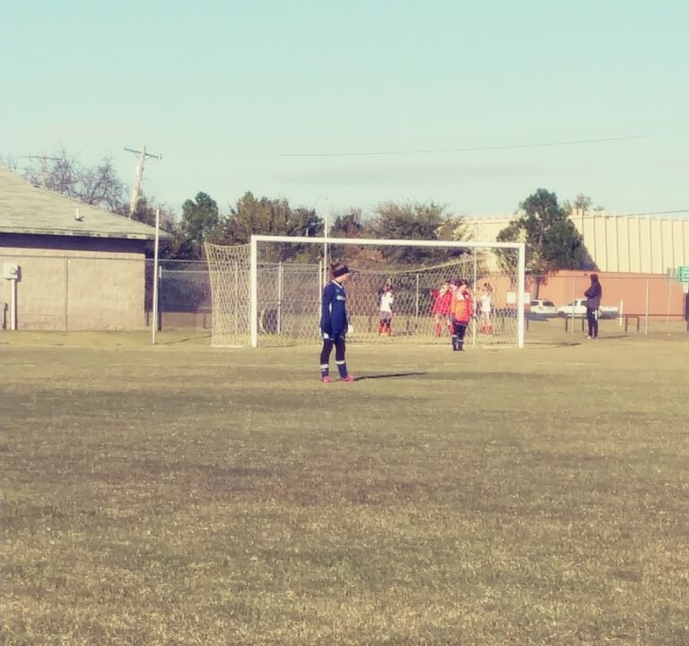 Soccer Field image 2