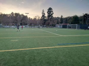 Soccer Field image 1