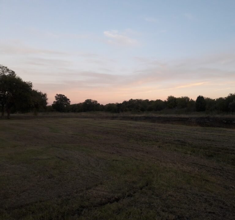 Soccer Field image 3