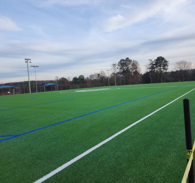 Soccer Field image 2