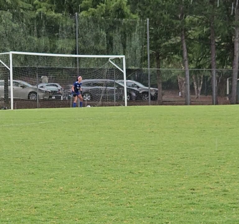 Soccer Field image 3