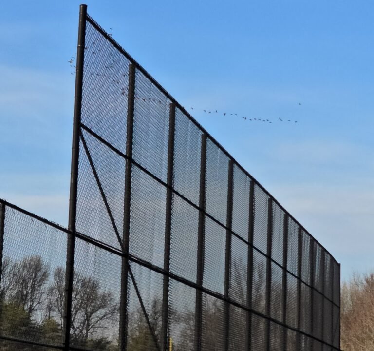 Soccer Field image 3