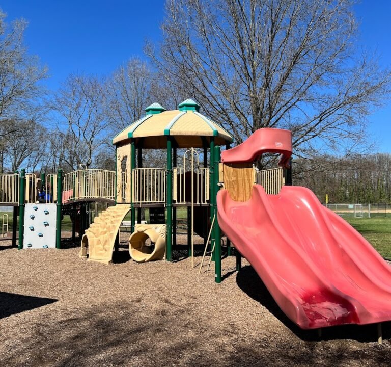 Soccer Field image 2