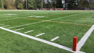Soccer Field image 1