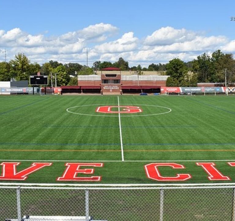 Soccer Field image 2