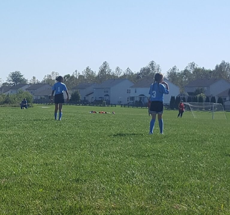 Soccer Field image 2