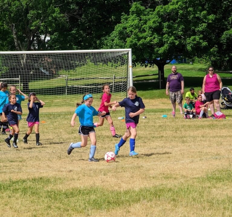 Soccer Field image 2