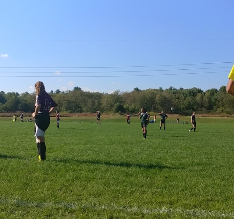 Soccer Field image 3