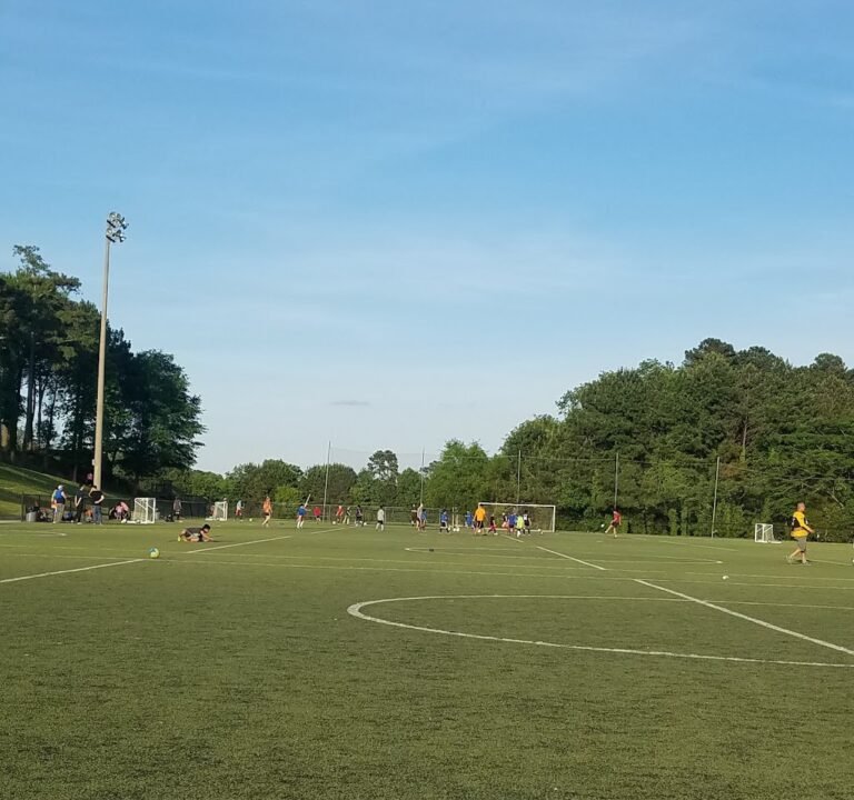 Soccer Field image 3