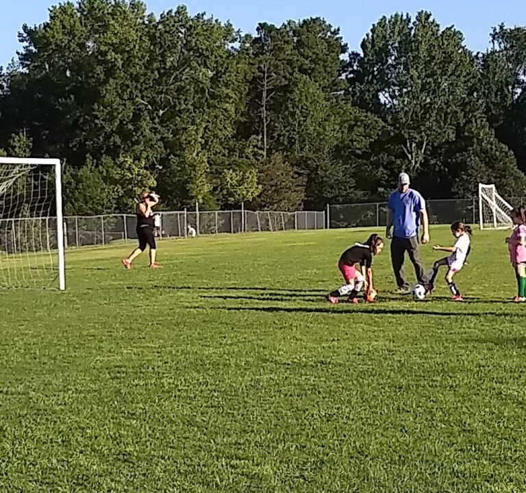 Soccer Field image 2