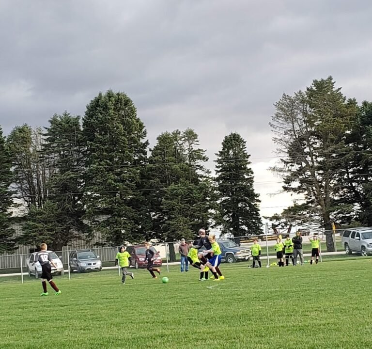 Soccer Field image 2