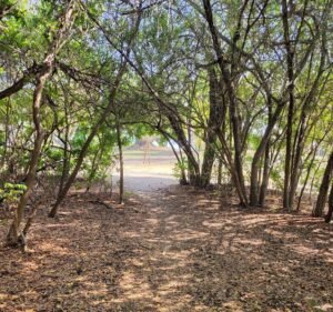 Soccer Field image 3