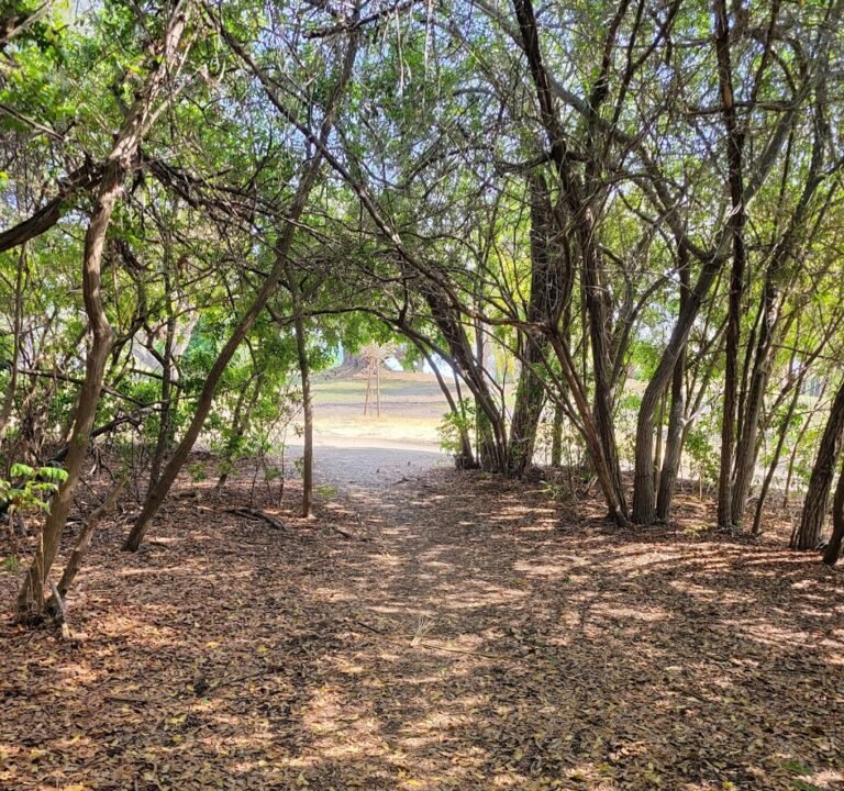 Soccer Field image 3