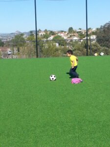 Soccer Field image 1