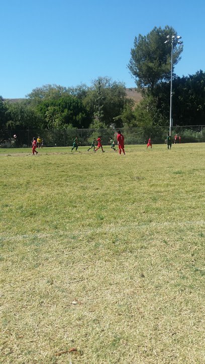 Soccer Field image 1