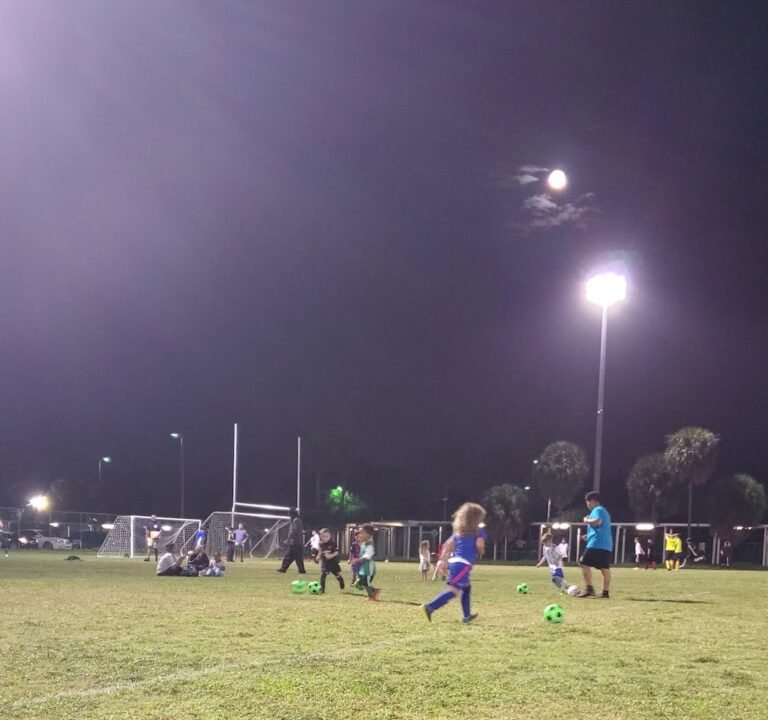 Soccer Field image 3