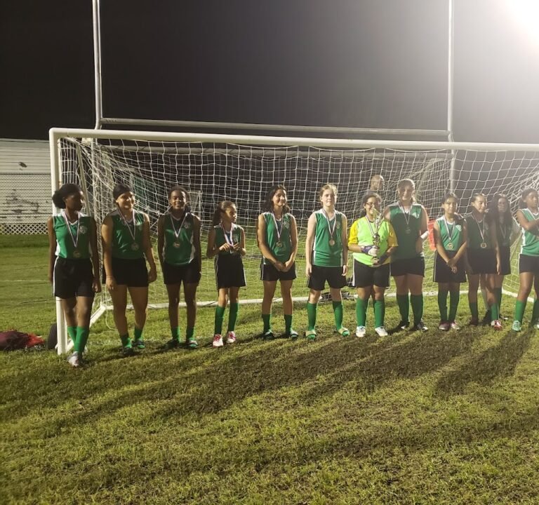 Soccer Field image 2