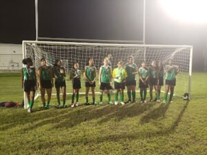 Soccer Field image 1