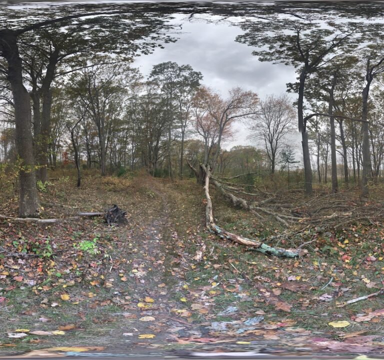 Soccer Field image 3