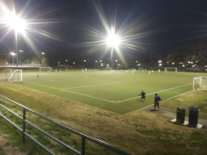 Soccer Field image 1