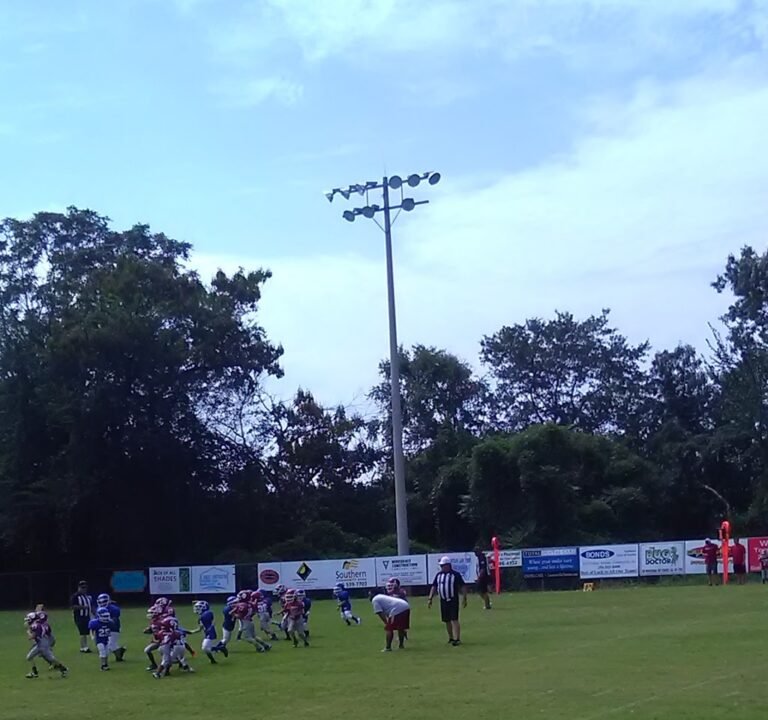 Soccer Field image 3