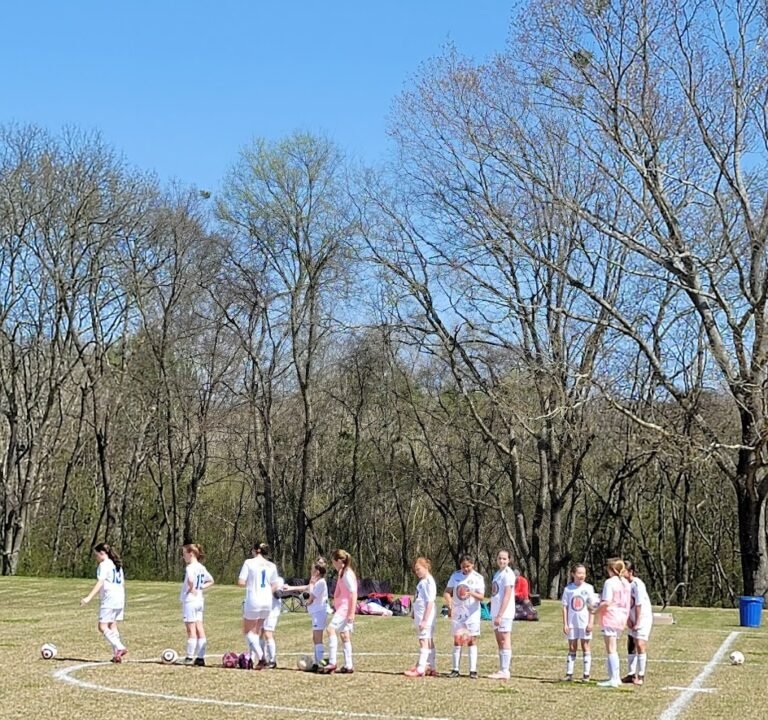 Soccer Field image 2