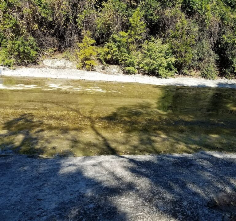 Soccer Field image 2