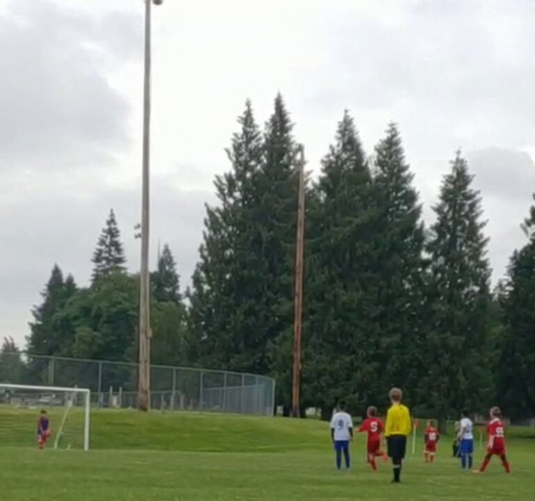 Soccer Field image 4