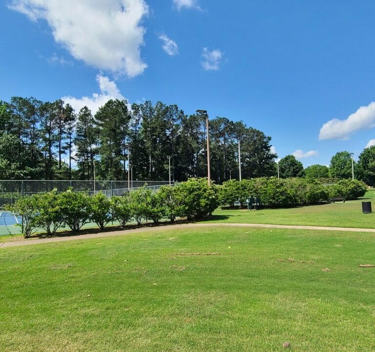 Soccer Field image 2