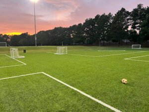 Soccer Field image 1