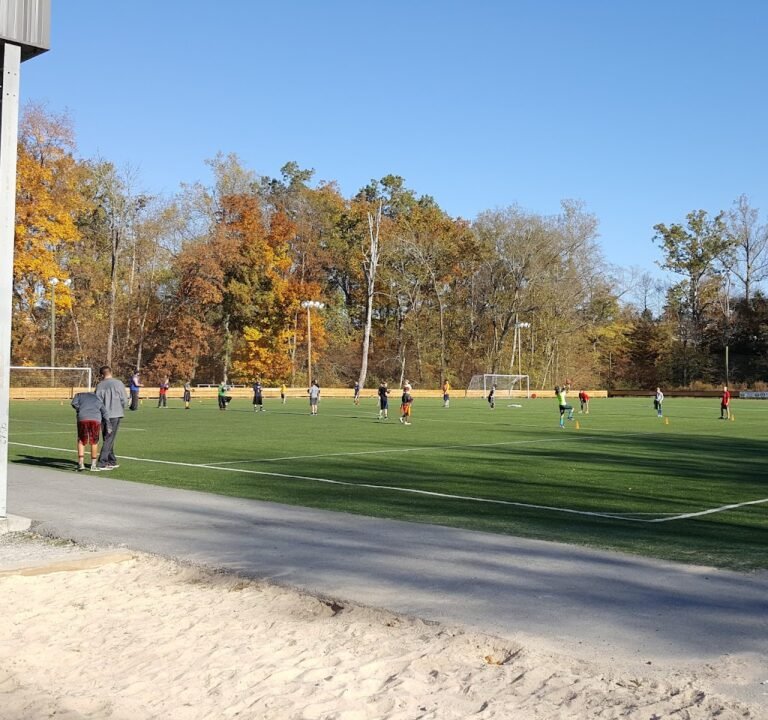 Soccer Field image 2
