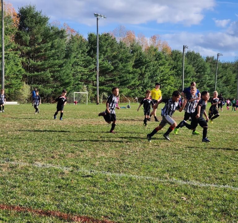 Soccer Field image 3