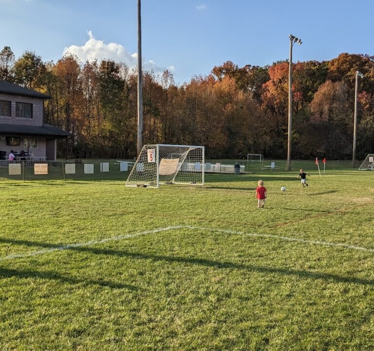 Soccer Field image 2