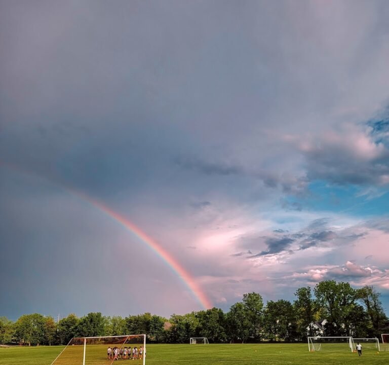 Soccer Field image 2