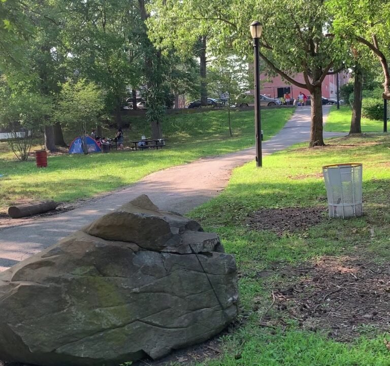 Soccer Field image 4