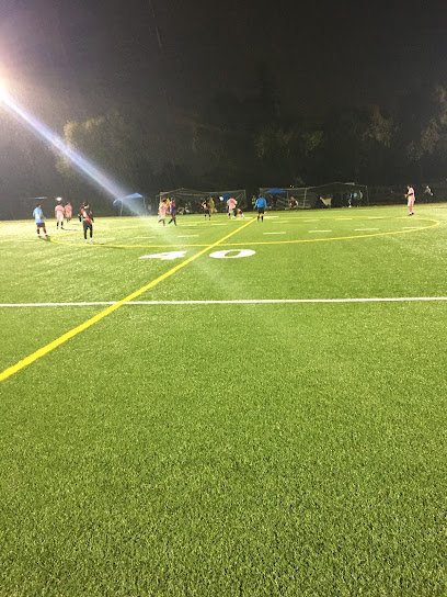 Soccer Field image 1