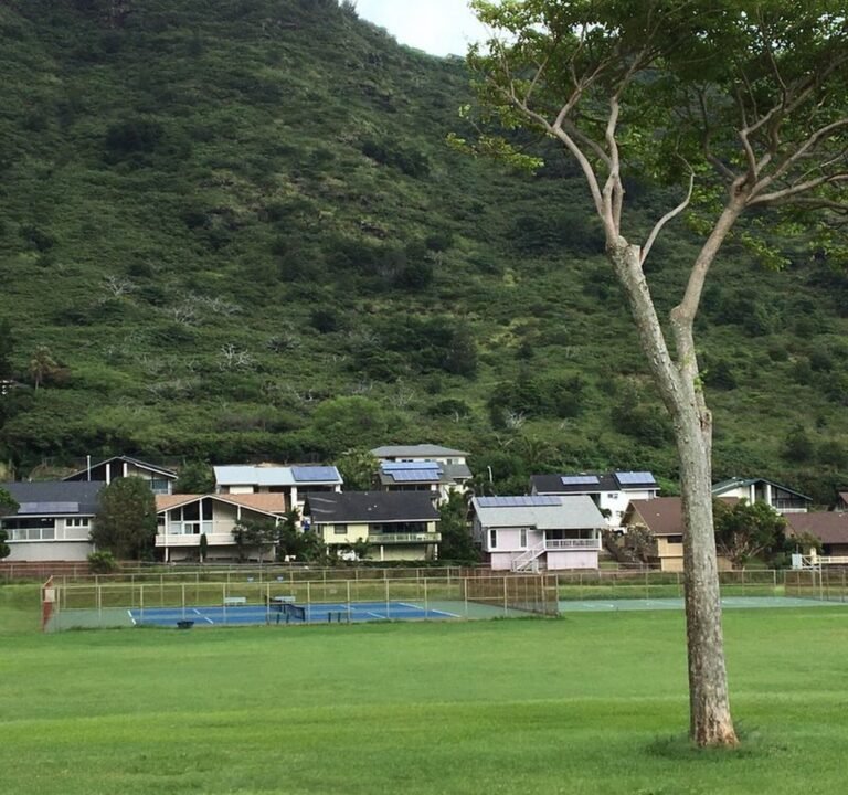 Soccer Field image 2