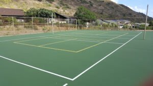 Soccer Field image 1