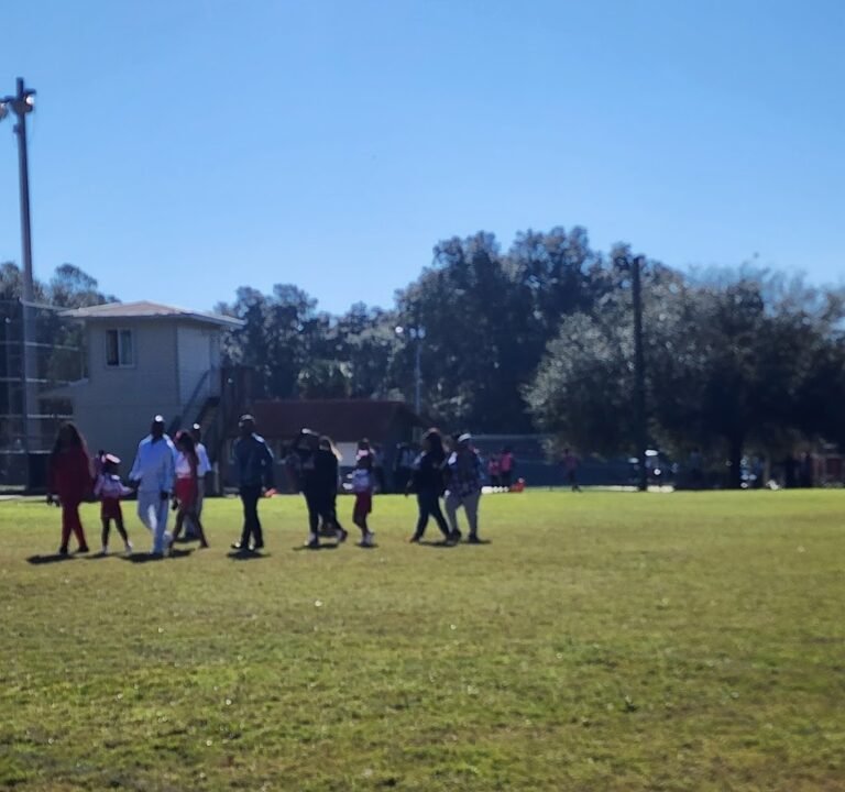 Soccer Field image 2