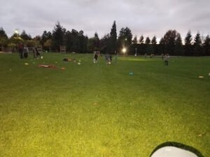 Soccer Field image 1