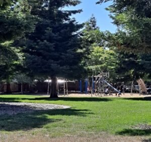 Soccer Field image 2