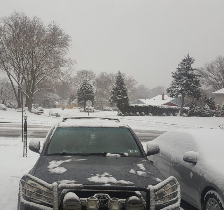 Soccer Field image 2