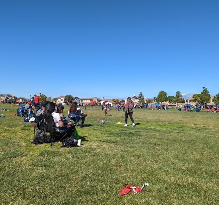 Soccer Field image 2