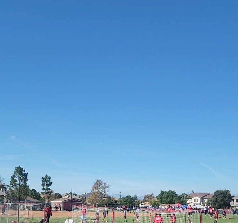 Soccer Field image 4